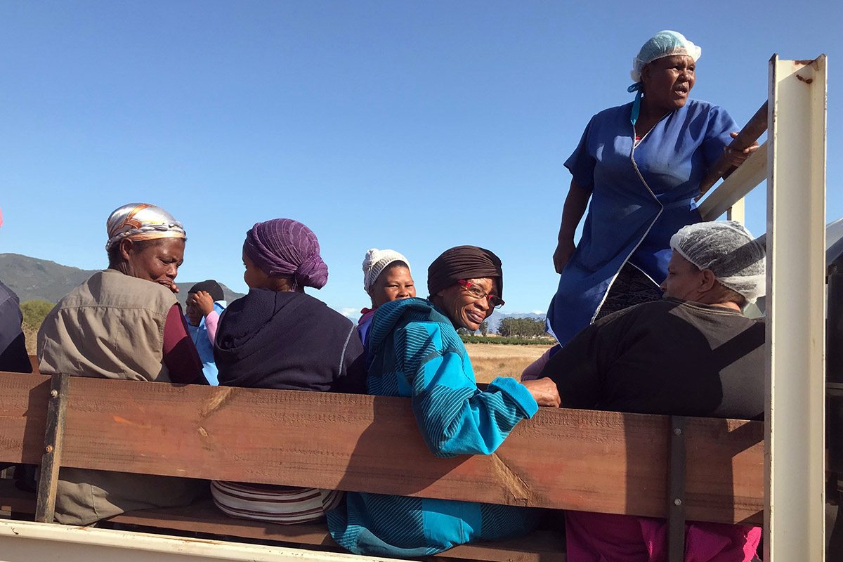 Eteläafrikkalaisia maatilan työntekijöitä matkustaa kuorma-auton lavalla
