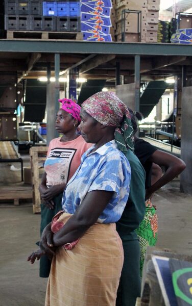 Naisia mosambikilaisessa tehtaassa